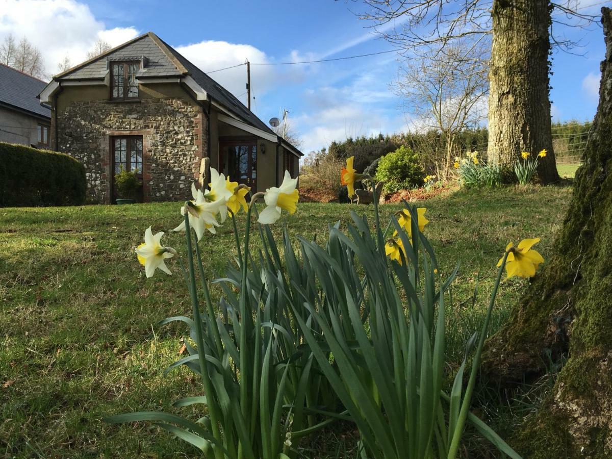 Meadow Sweet Cottage Okehampton Exterior photo