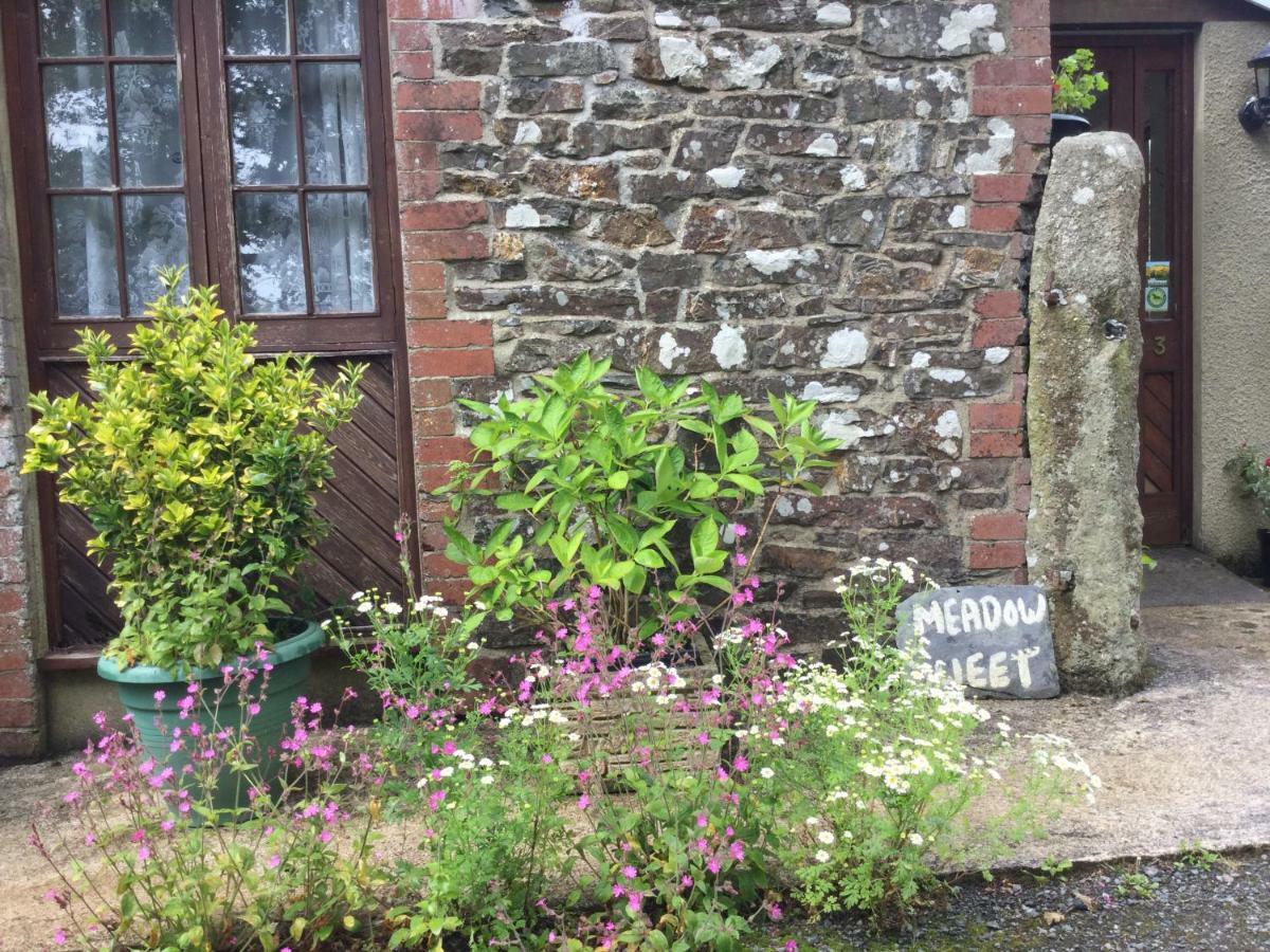 Meadow Sweet Cottage Okehampton Exterior photo